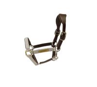 Licol pour cheval anatomique nylon Kentucky Beige Cob
