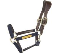 Licol pour cheval anatomique nylon Kentucky Bleu Cob