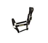 Licol pour cheval anatomique nylon Kentucky Noir Full