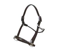 Licol pour cheval avec ajustements Dy'on US Marron Poney