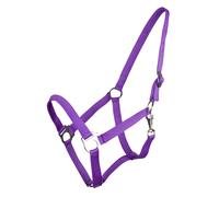 Licol pour cheval avec glissière Q-essentials Violet Mini-Shetland
