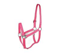 Licol pour cheval basique Horze Rose Full