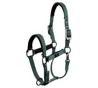 Licol pour cheval BR Equitation CLX Vert Full