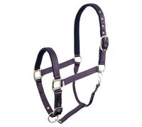 Licol pour cheval BR Equitation Event Violet Cob