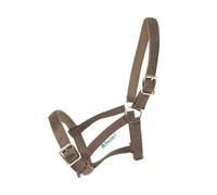 Licol pour cheval Bucas Dublin Marron Foal