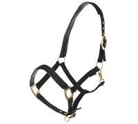 Licol pour cheval Covalliero TopLine Noir Cob