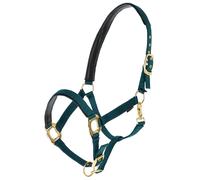 Licol pour cheval Covalliero TopLine Vert Poney
