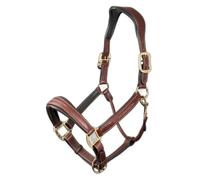 Licol pour cheval cuir LeMieux Stitched Comfort Marron Full