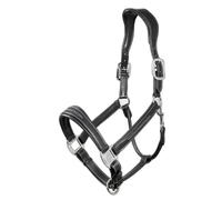 Licol pour cheval cuir LeMieux Stitched Comfort Noir Full
