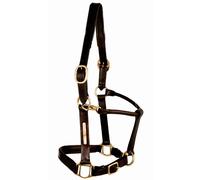 Licol pour cheval de cuir matelassé peau Tattini Noir Cob