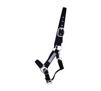 Licol pour cheval de sécurité doublé QHP Noir Cob