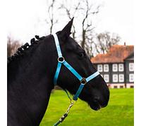 Licol pour cheval demi-sang, pur-sang, sang-froid - licol d’écurie, licol de pâturage, réglable en 2 positions sur les sangles de menton et de cou, sûr et résistant (Turquoise, poney)