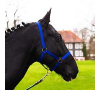 Licol pour cheval demi-sang, pur-sang, sang-froid - licol d’écurie, licol de pâturage, réglable en 2 positions sur la sangle de menton et le cou, sûr et résistant (Bleu royal, demi-sang (Full))