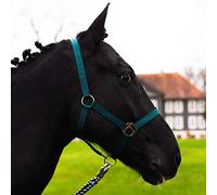 Licol pour cheval demi-sang, pur-sang, sang-froid - licol d’écurie, licol de pâture, réglable en 2 positions sur la muserolle et le cou, sûr et résistant (Vert foncé, Mini Shetty)