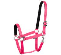 Licol pour cheval doublé en nylon Harry's Horse Rose Full