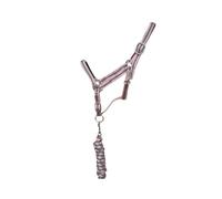 Licol pour cheval double + longe T de T Gris Shetland