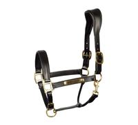 Licol pour cheval en cuir anatomic Harry's Horse Noir Full