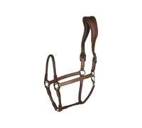 Licol pour cheval en cuir Catago Marron Full
