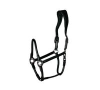 Licol pour cheval en cuir Catago Noir Full