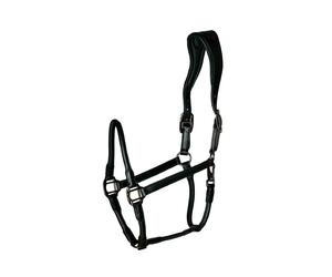 Licol pour cheval en cuir Catago Noir Full
