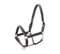 Licol pour cheval en cuir doublé bombée Tattini Noir Cob