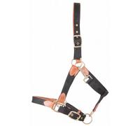 Licol pour cheval en cuir et sangle T de T Noir Poney