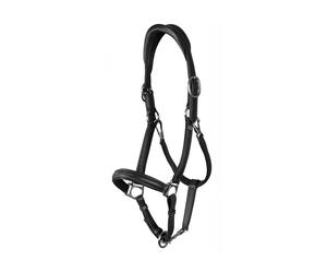 Licol pour cheval en cuir extra souple Dy'on Noir Full