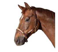 Licol pour cheval en cuir Harry's Horse Flash Marron Full
