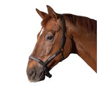 Licol pour cheval en cuir Harry's Horse Flash Noir Cob