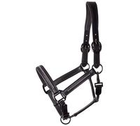 Licol Pour Cheval En Cuir Harry's Horse Metallic
