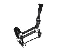 Licol pour cheval en cuir HKM Glamour Noir Pur-sang