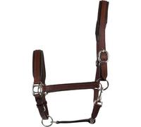 Licol pour cheval en cuir HorseGuard Marron Full