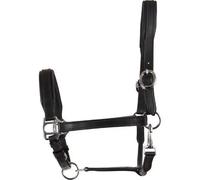 Licol pour cheval en cuir HorseGuard Noir Full