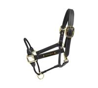 Licol pour cheval en cuir Kentucky Horsewear Noir Cob