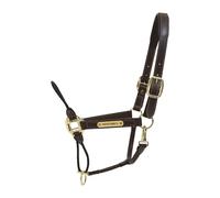 Licol pour cheval en cuir Kentucky Rope Marron Full