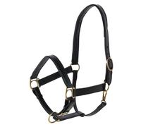 Licol pour cheval en cuir Kerbl Eco Noir XXFull