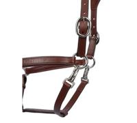 Licol pour cheval en cuir PS of Sweden Palermo Marron Full