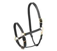 Licol pour cheval en cuir Star Robust Noir Full