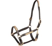 Licol pour cheval en cuir Waldhausen X-Line Oxford Marron Cob