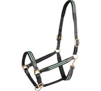 Licol pour cheval en cuir Waldhausen X-Line Oxford Noir Cob