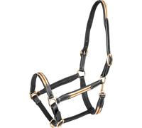 Licol pour cheval en cuir Waldhausen X-Line Oxford Noir Cob