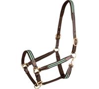 Licol pour cheval en cuir Waldhausen X-Line Oxford Vert Cob