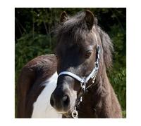 Licol pour cheval en deux tailles différentes Kavalkade Shorty Bleu Shetland