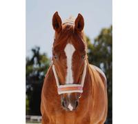 Licol pour cheval en fourrure JD Attack Halter Superstar Rose Full