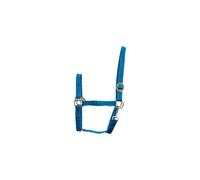Licol pour cheval en nylon HorseGuard Bleu Full
