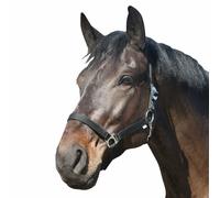 Licol pour cheval en nylon HorseGuard Noir Full