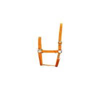 Licol pour cheval en nylon HorseGuard Orange Full