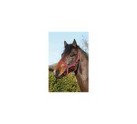 Licol pour cheval en nylon HorseGuard Rouge Full