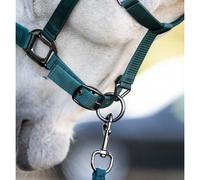 Licol pour cheval en nylon Horseware Vert Cob