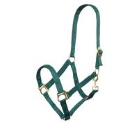 Licol pour cheval en nylon Imperial Riding Economic Vert Poney
